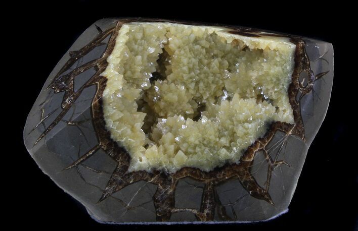Calcite Crystal Filled Septarian Geode - Utah #37232